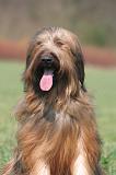 BRIARD 233